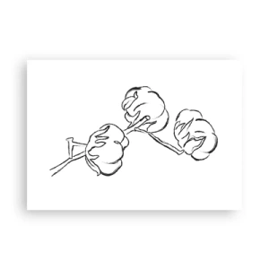 Affisch - Bomullsdun - 100x70 cm