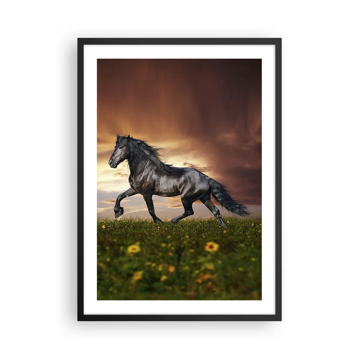 Affisch i svart ram - En svart häst galopperar över en äng i ljuset av den nedgående solen. - 50x70cm - Svarta prinsen - Modern väggdekoration för vardagsrum och sovrum ARTTOR