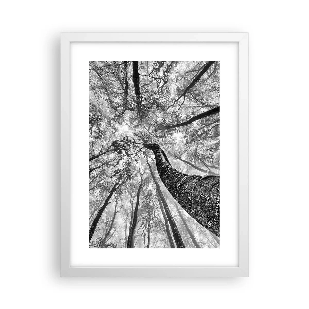 Affisch i vit ram - Kapplöpning mot ljuset - 30x40 cm