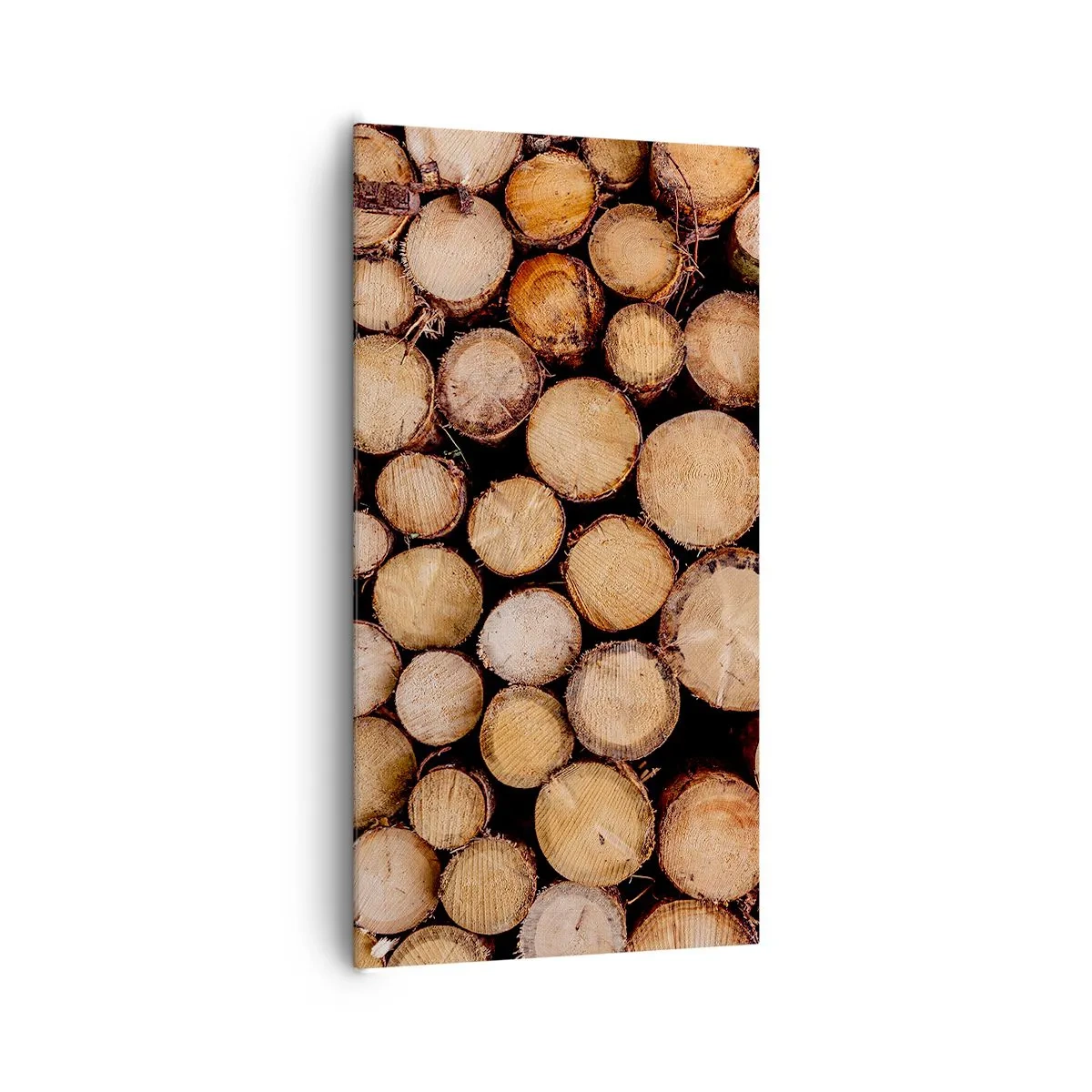 Canvastavla - Bild på duk - Ny början - 65x120 cm