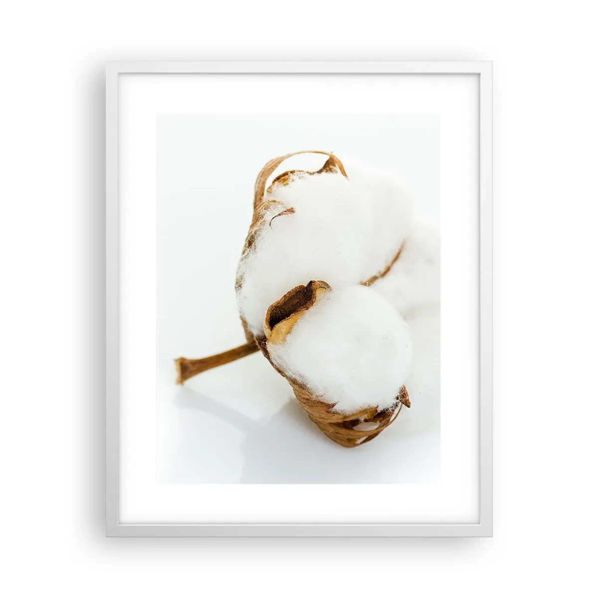 Affisch i vit ram - Mjuk av naturen - 40x50 cm