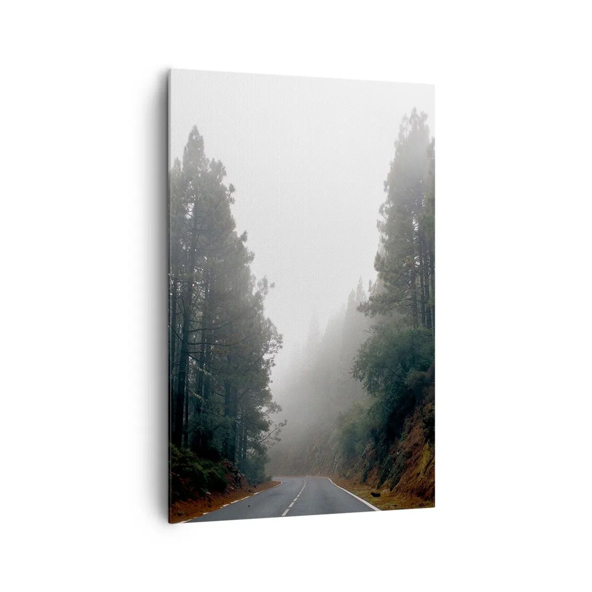 Canvastavla - Bild på duk - Magiska skogens berättelse - 80x120 cm