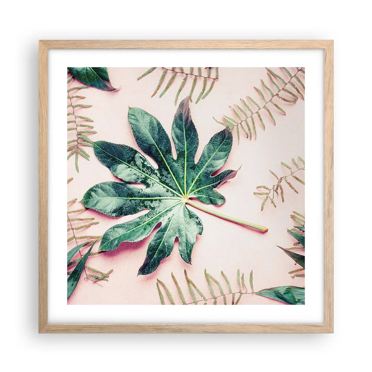 Affisch i ram av ljusek - Grönskans studie mot rosa bakgrund - 50x50 cm