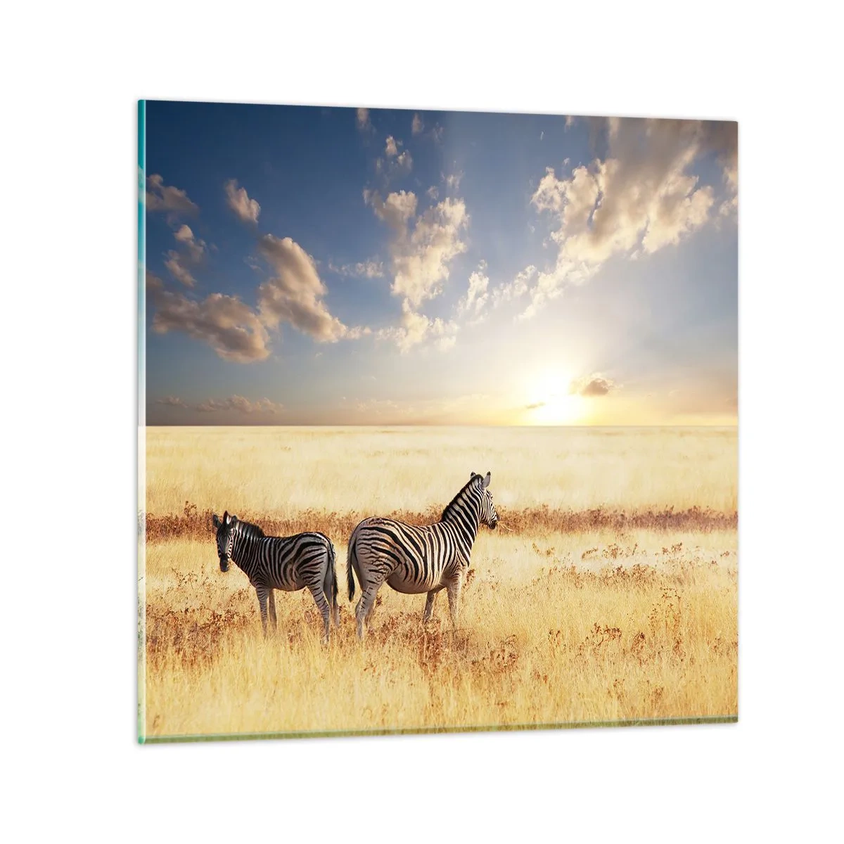 Glastavla - Bild på glas - Gå härifrån, stör inte lugnet - 70x70 cm