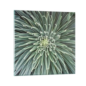 Glastavla - Bild på glas - Stjärna föds - 60x60 cm