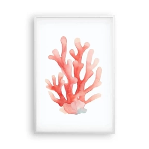 Affisch i vit ram - Korallfärgad korall - 61x91 cm