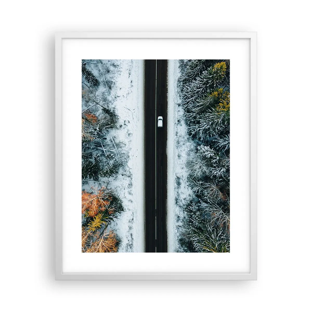 Affisch i vit ram - Genom vinterskogen - 40x50 cm