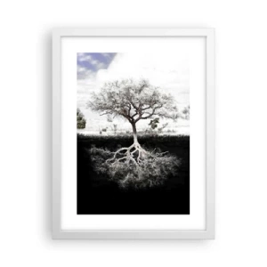 Affisch i vit ram - Upptäckt av världens natur - 30x40 cm