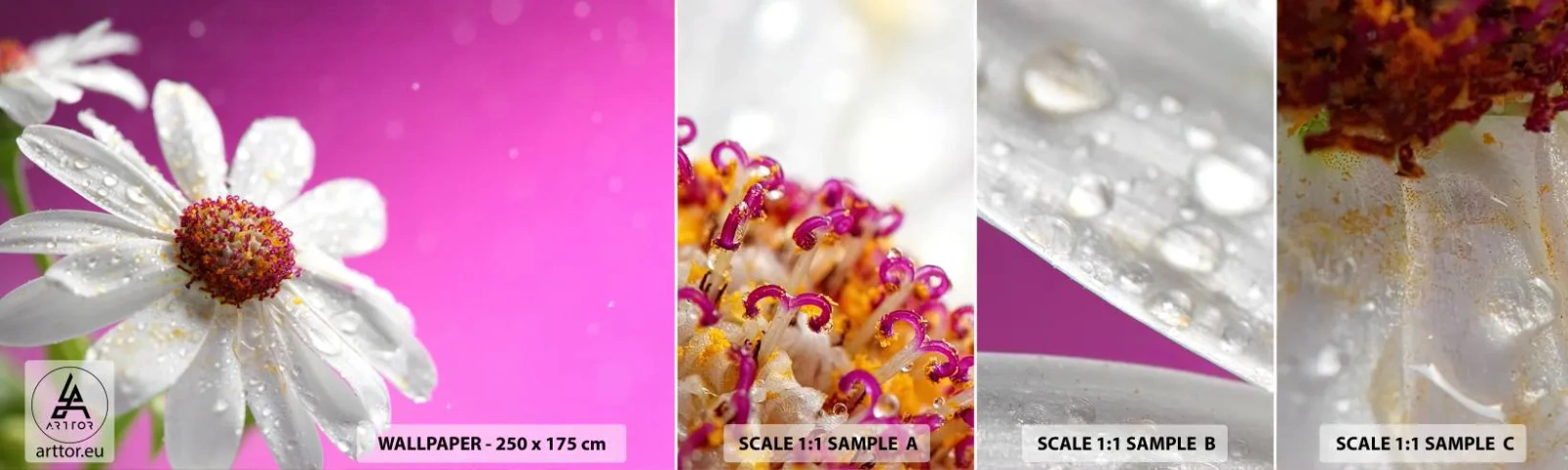 Fototapet Prov Standard Eco - Sparsam i sin skönhet - Blomma, Natur, Trädgård - 100x30 cm