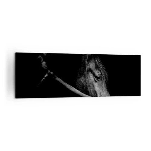 Canvastavla - Bild på duk - Svart prins - 160x50 cm