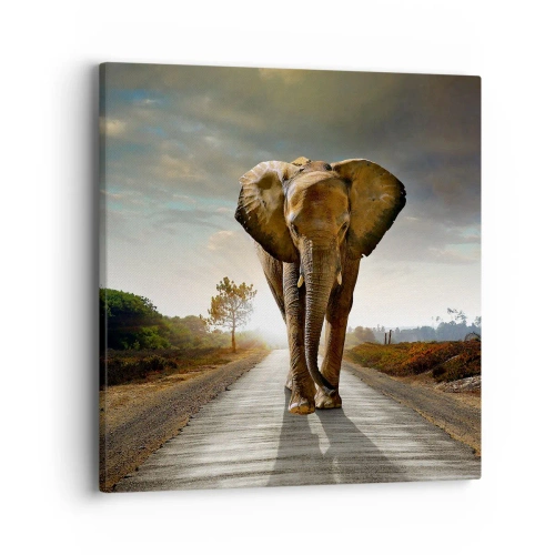 Canvastavla - Bild på duk - Inte alls i en porslinsbutik - 40x40 cm