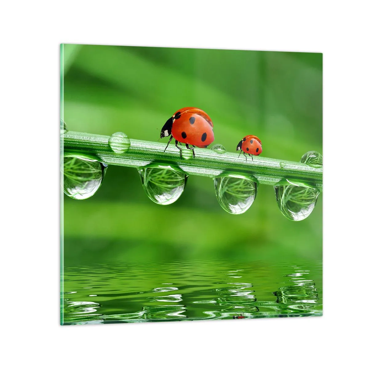 Glastavla - Bild på glas - Hela sommaren på väg - 30x30 cm