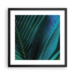 Affisch i svart ram - Grönskans anatomi - 40x40 cm