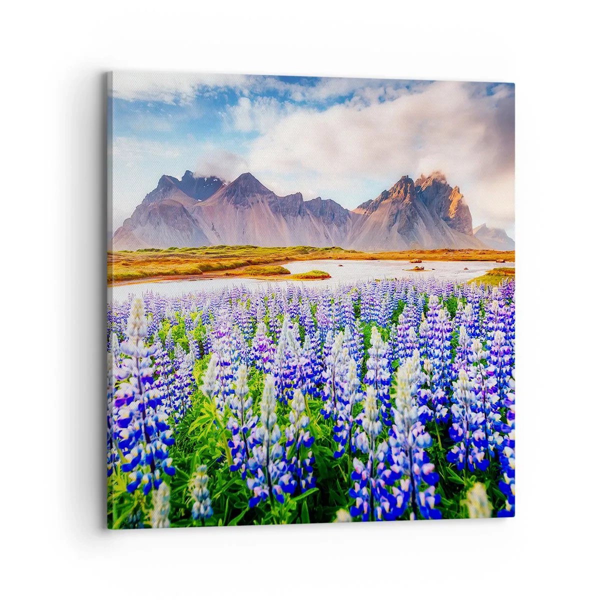 Canvastavla - Bild på duk - Styrka och stränghet bredvid mildhet - 70x70 cm