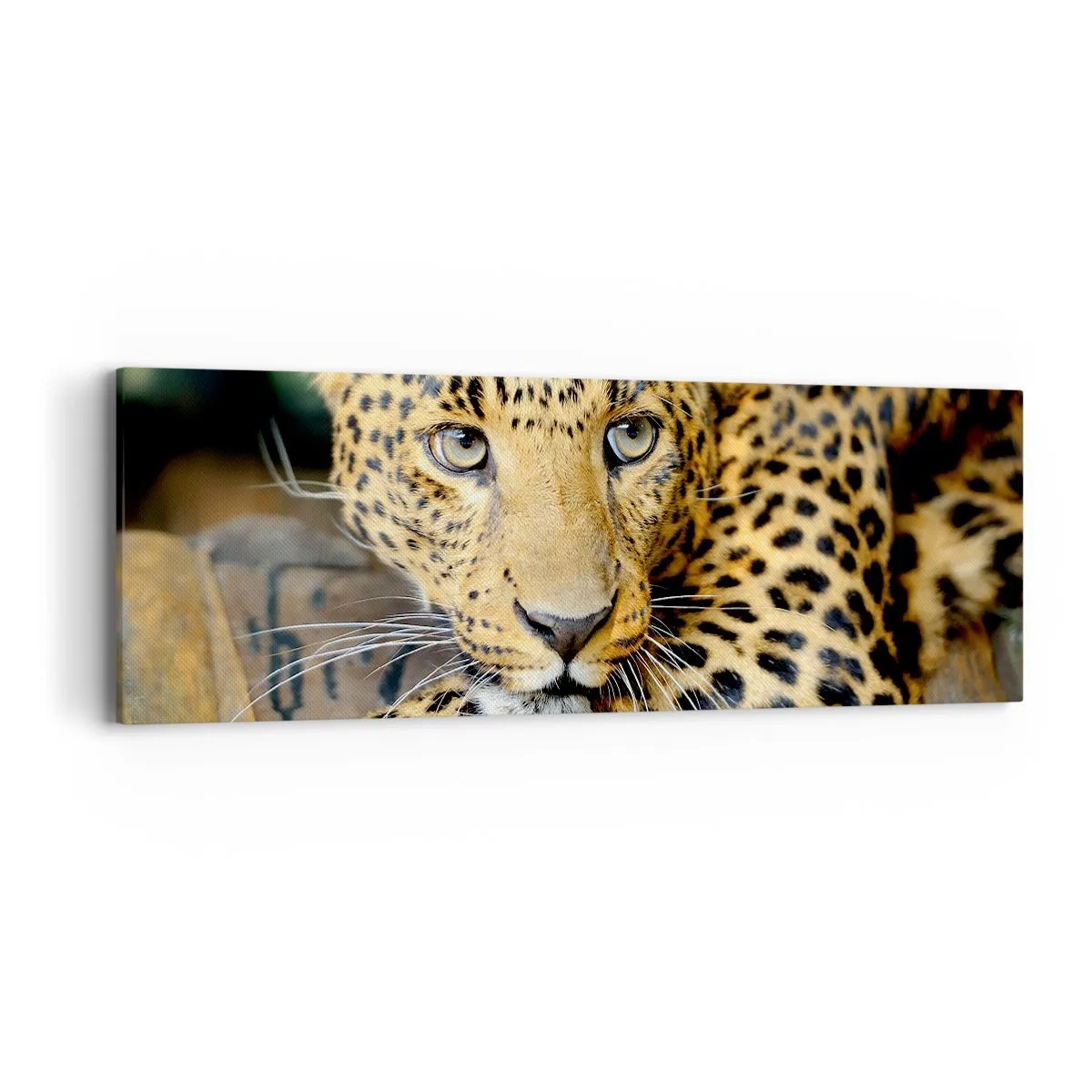 Canvastavla - Bild på duk - Var inte rädd, kom fram - 90x30 cm