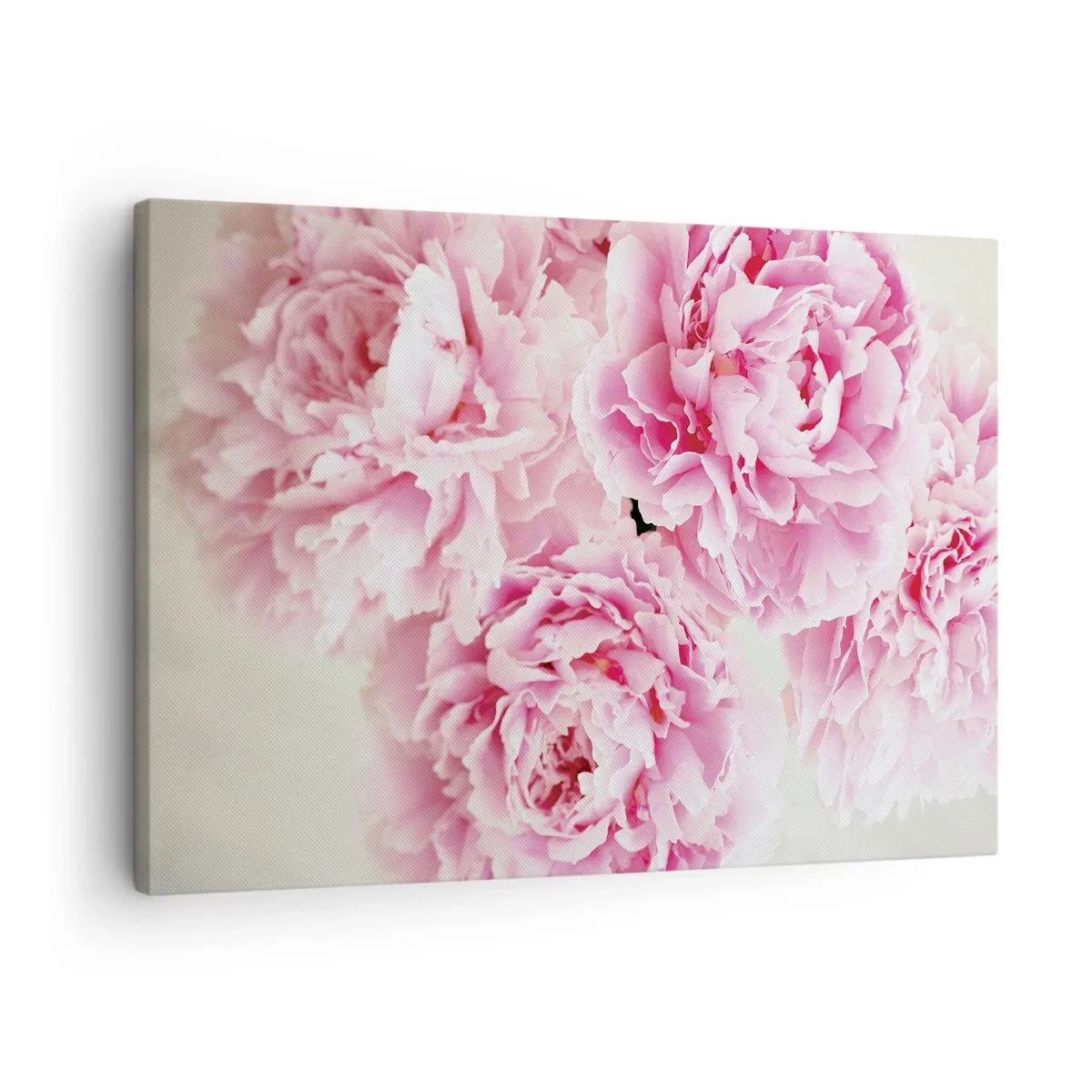 Canvastavla - Bild på duk - En bukett rosa pioner på en ljus bakgrund - 70x50cm - Rosa prakt - Modern väggdekoration för vardagsrum och sovrum ARTTOR