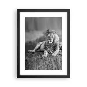 Affisch i svart ram - Kunglig siesta - 30x40 cm