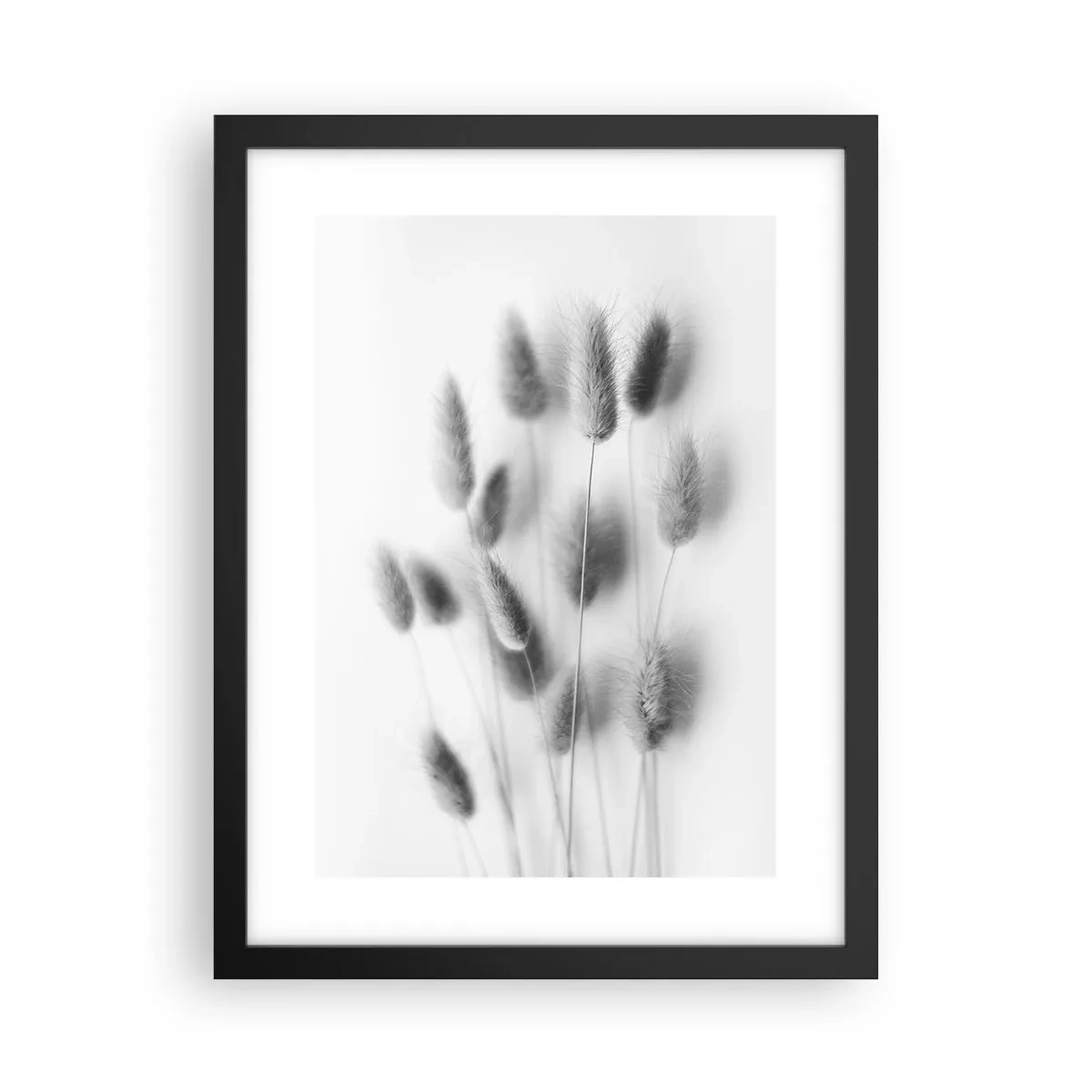 Affisch i svart ram - Fluffigt gräs - 30x40 cm