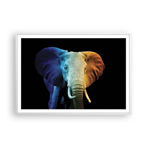 Affisch i vit ram - Excentriker, ej kuf - 100x70 cm