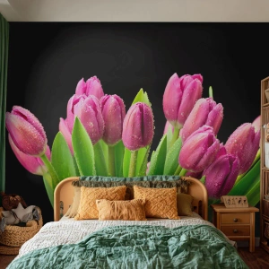 Fototapet på mått Standard Eco - Vårens lila glädje - Blommor, Tulpaner, Blombukett