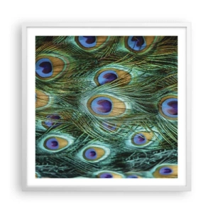 Affisch i vit ram - Påfågels blick - 60x60 cm