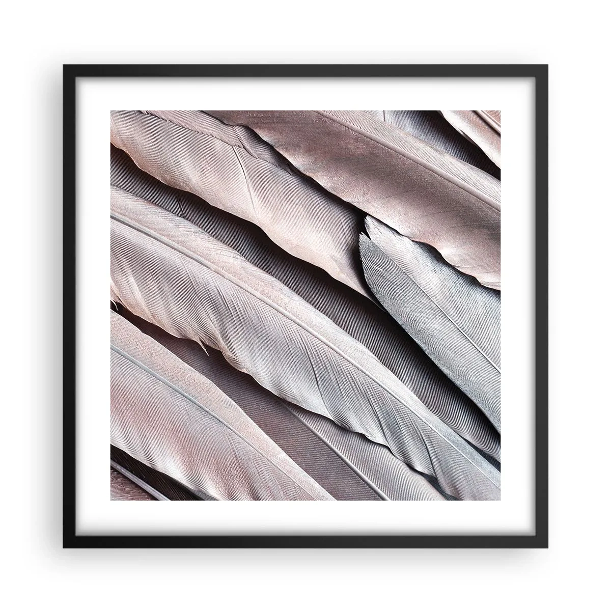 Affisch i svart ram - I rosa silver - 50x50 cm