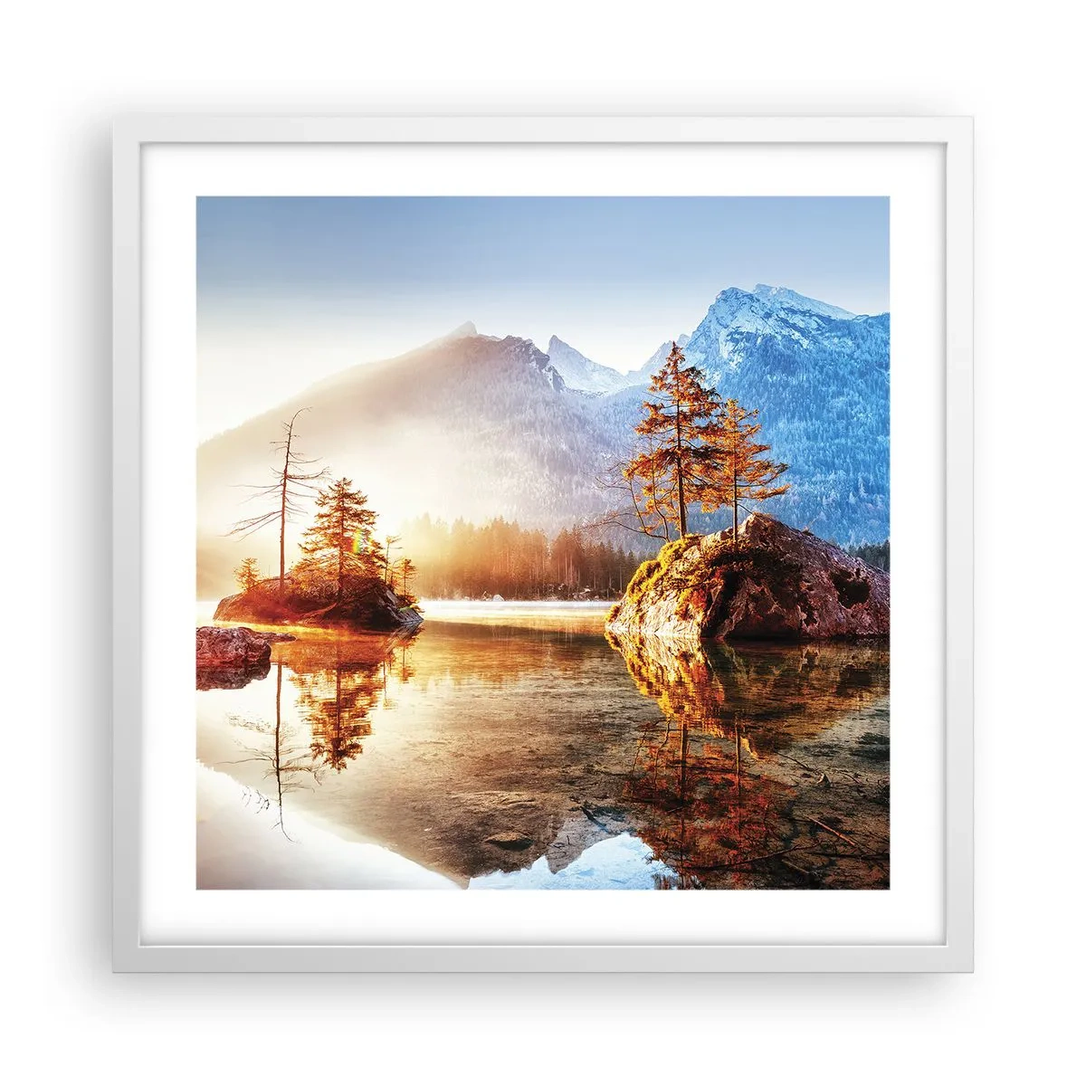 Affisch i vit ram - Naturen i ett nytt ljus - 50x50 cm