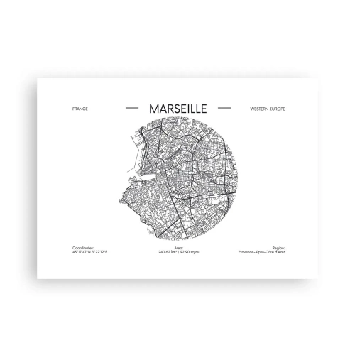 Affisch - Marseilles anatomi - 70x50 cm