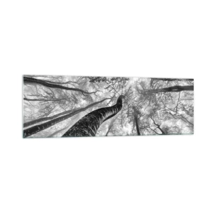 Glastavla - Bild på glas - Kapplöpning mot ljuset - 160x50 cm