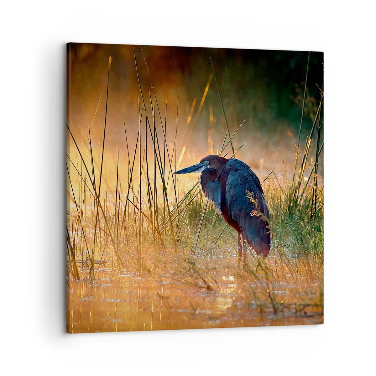 Canvastavla - Bild på duk - Sluta fota - 50x50 cm