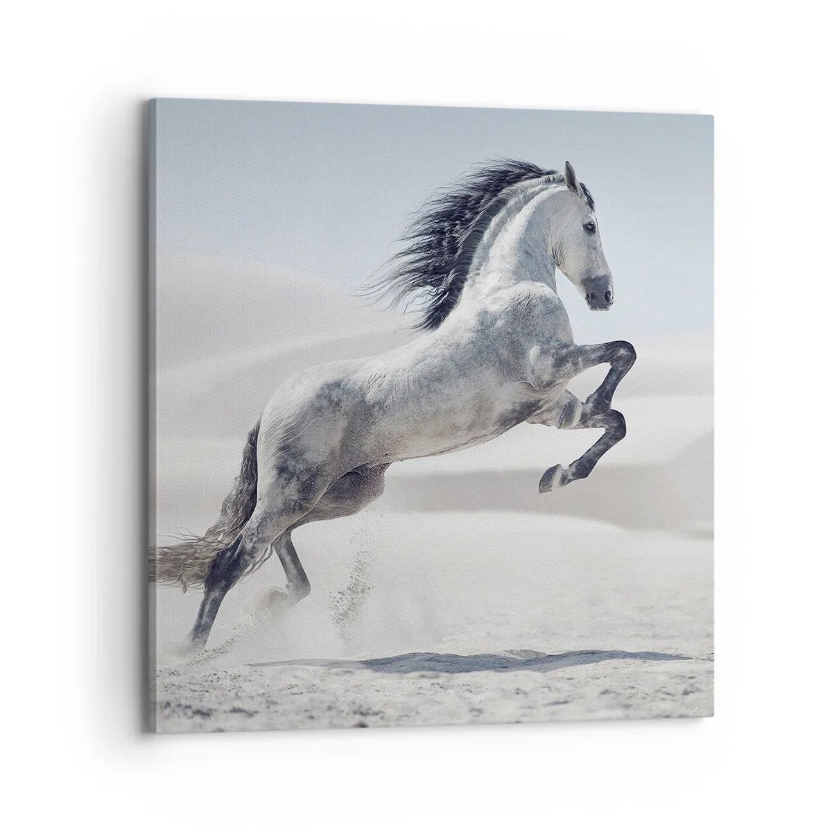 Canvastavla - Bild på duk - Arabisk prins - 70x70 cm