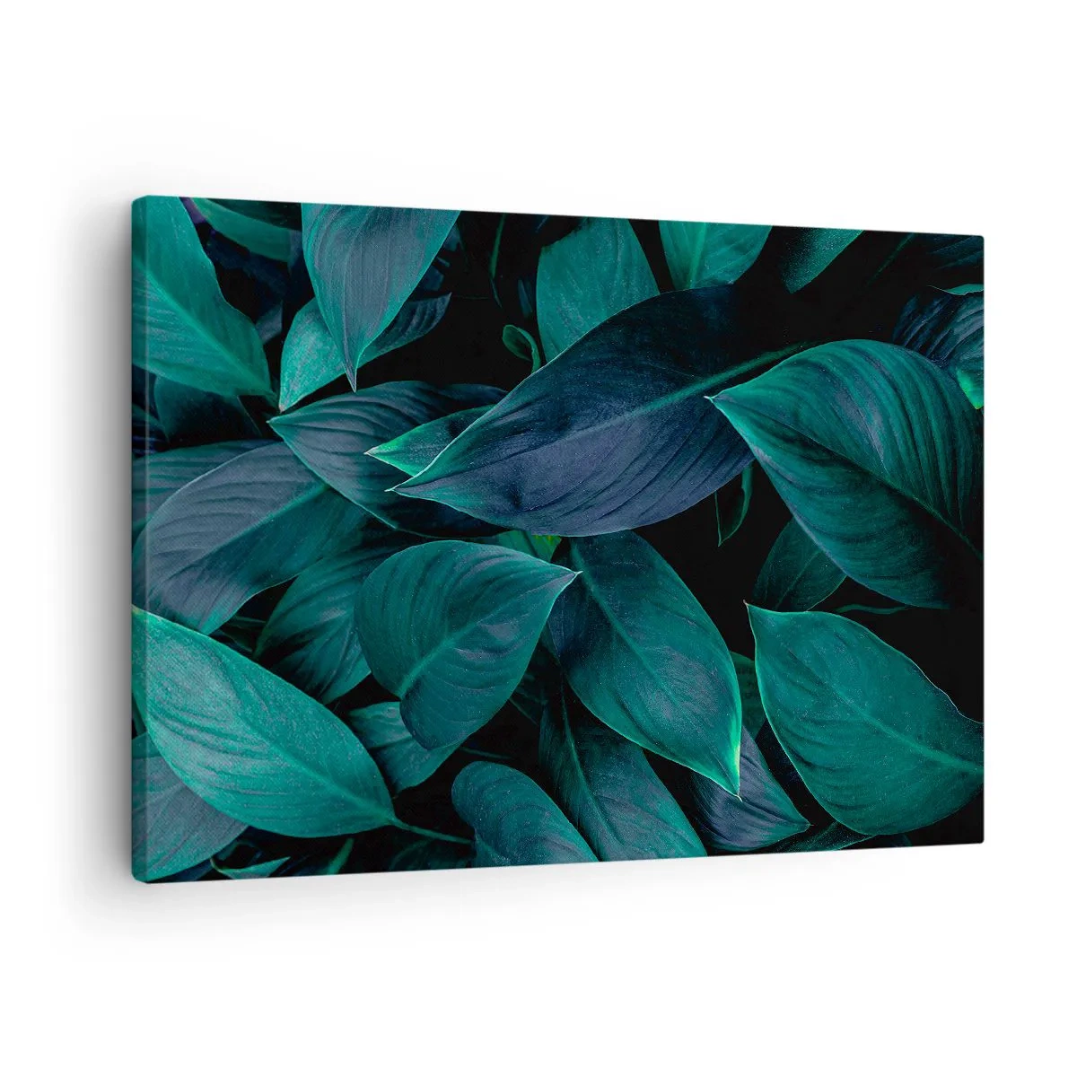Canvastavla - Bild på duk - Närbild av gröna blad mot en mörk bakgrund - 70x50cm - Grönskan själv - Modern väggdekoration för vardagsrum och sovrum ARTTOR