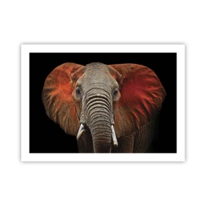 Affisch - Jag är vild, och du? - 70x50 cm