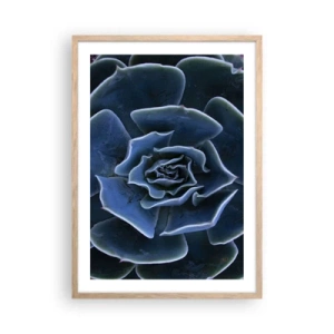 Affisch i ram av ljusek - Öknens blomma - 50x70 cm