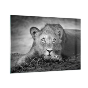 Glastavla - Bild på glas - Kunglig valp - 100x70 cm