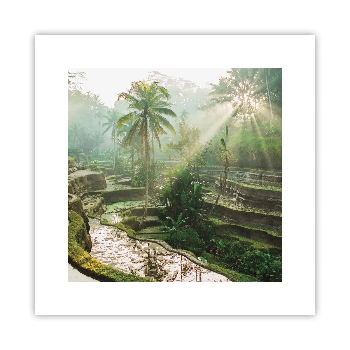 Affisch - Växa upp i solsken - 30x30 cm