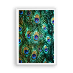 Affisch i vit ram - Påfågels blick - 70x100 cm