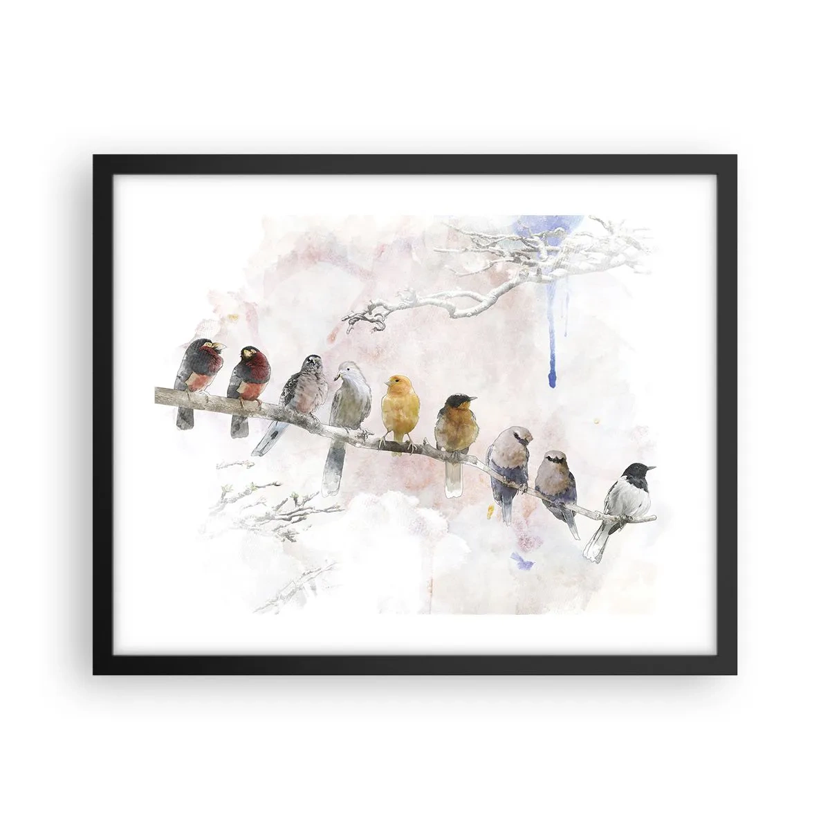 Affisch i svart ram - Bevingat möte - 50x40 cm