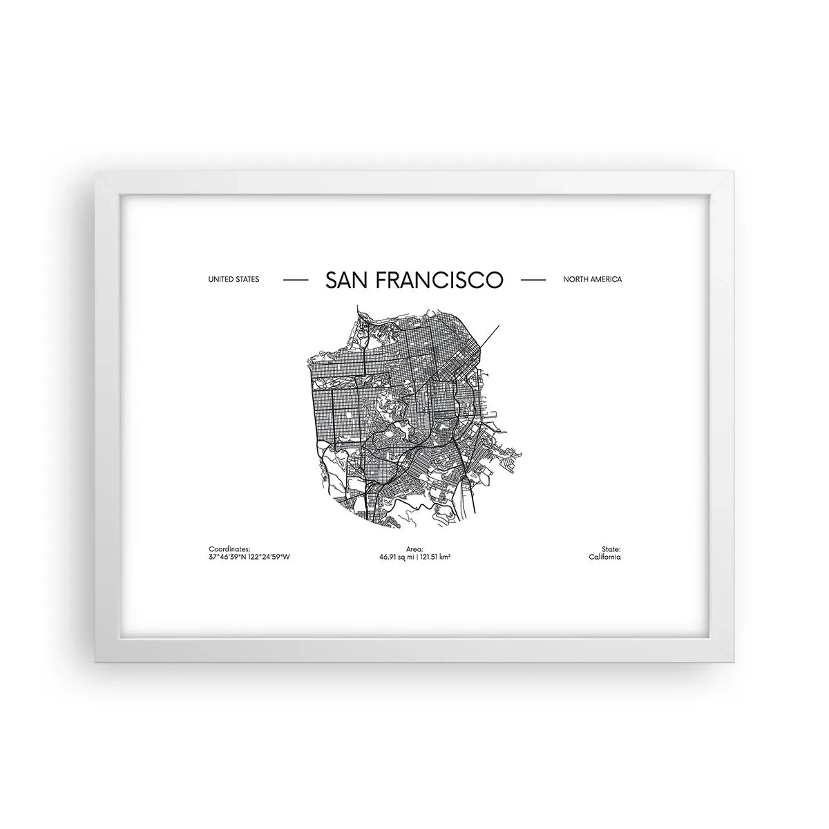 Affisch i vit ram - San Franciscos anatomi - 40x30 cm