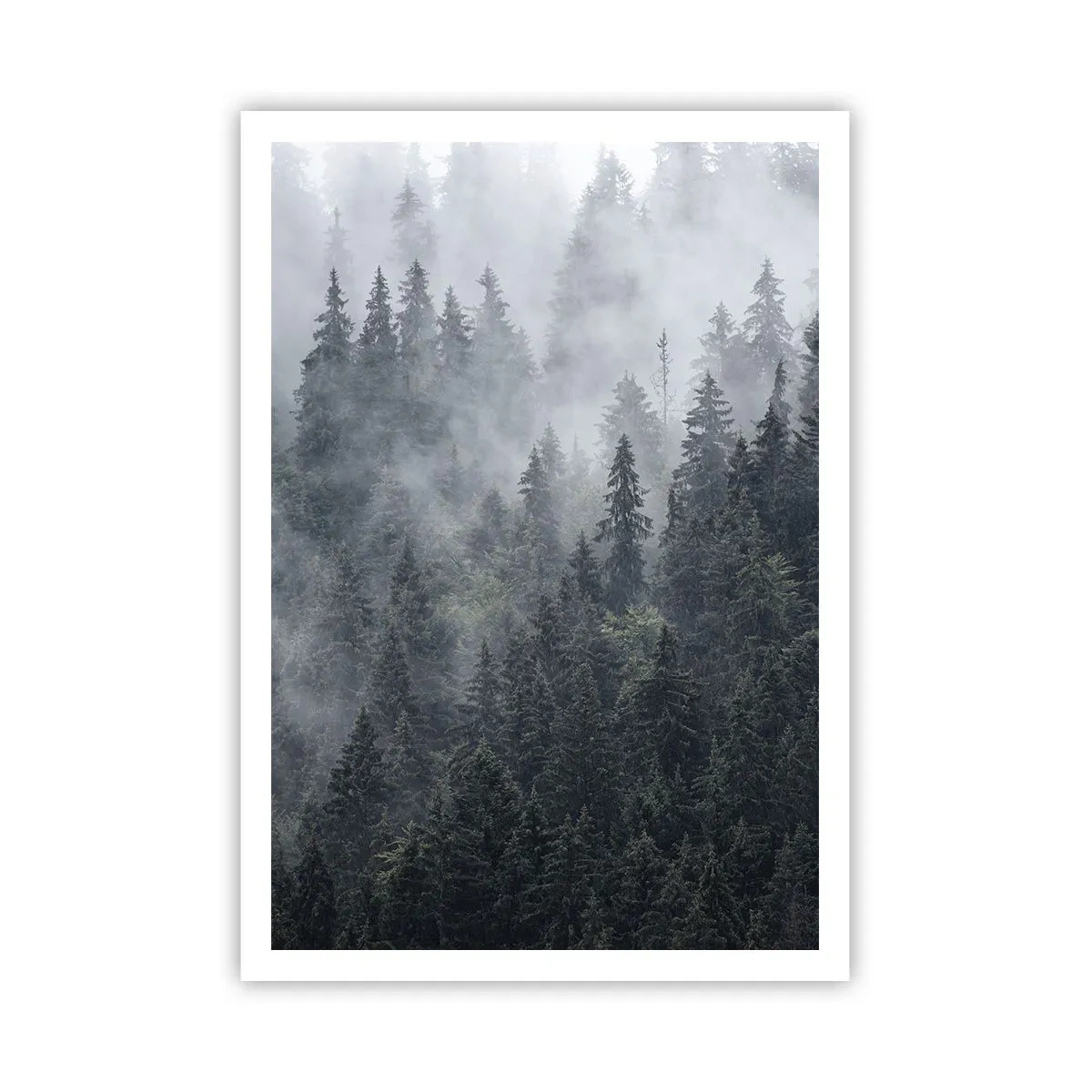 Affisch - Gryning i skogen - 70x100 cm