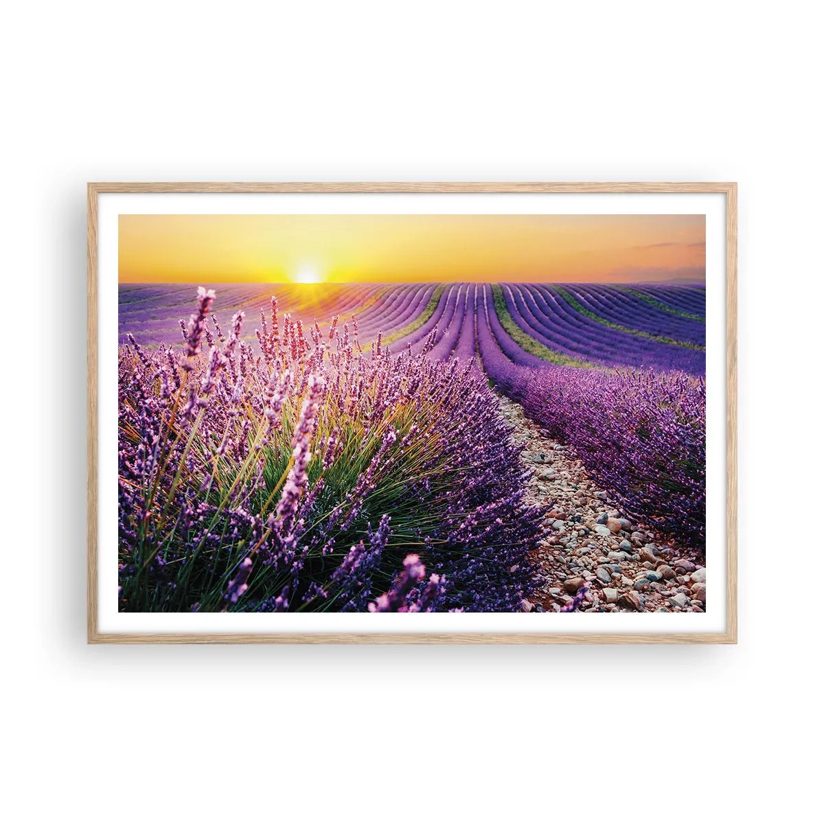 Affisch i ram av ljusek - Doftande åkermark - 100x70 cm
