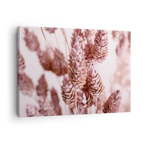 Canvastavla - Bild på duk - En närbild av de fina rosa spikarna av prydnadsgräs - 70x50cm - Skenet bedrar - Modern väggdekoration för vardagsrum och sovrum ARTTOR