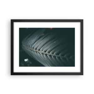 Affisch i svart ram - Naturens precision - 40x30 cm