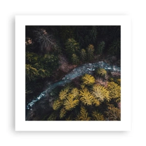 Affisch - Snabbt, allt snabbare - 40x40 cm