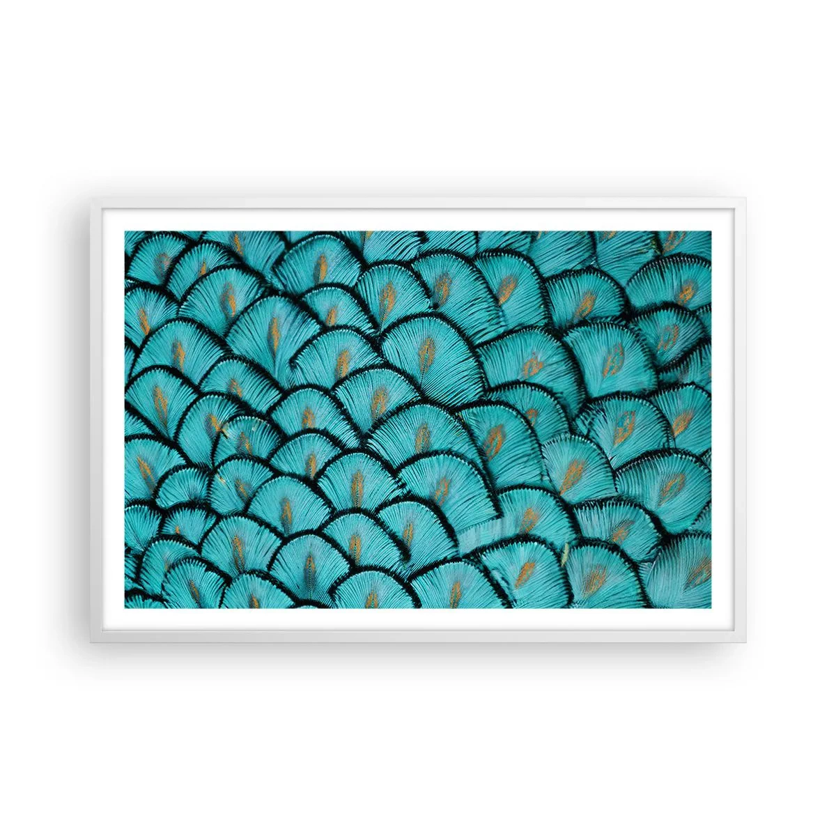 Affisch i vit ram - Den stora fjädergalan - 91x61 cm