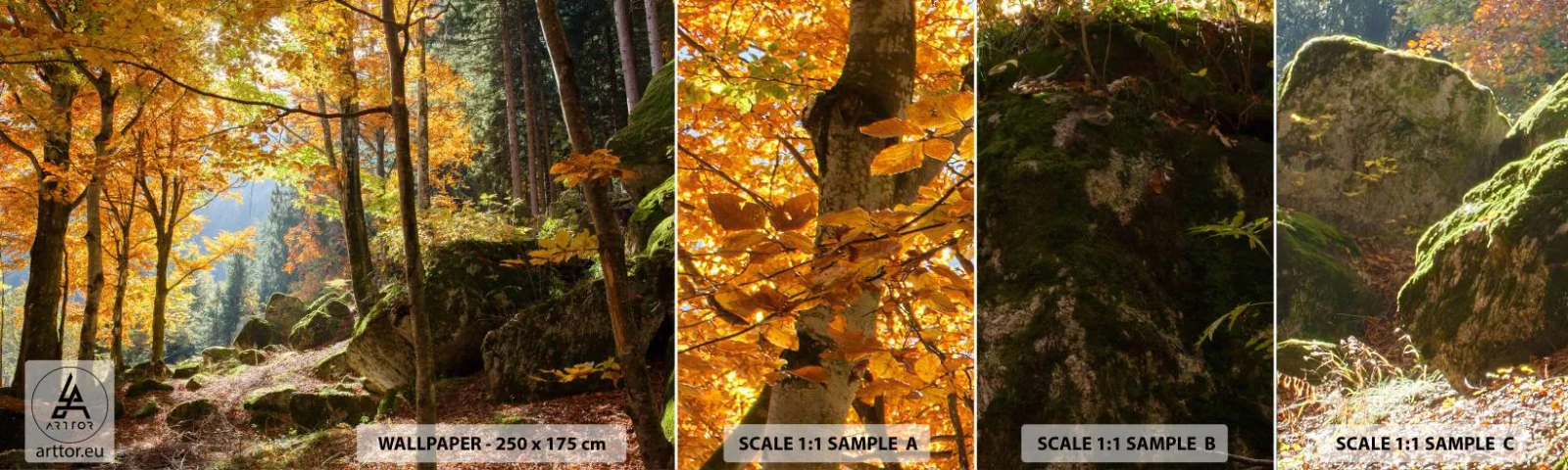 Fototapet Prov Standard Eco - Dags att vila - Landskap, Skog, Natur - 100x30 cm