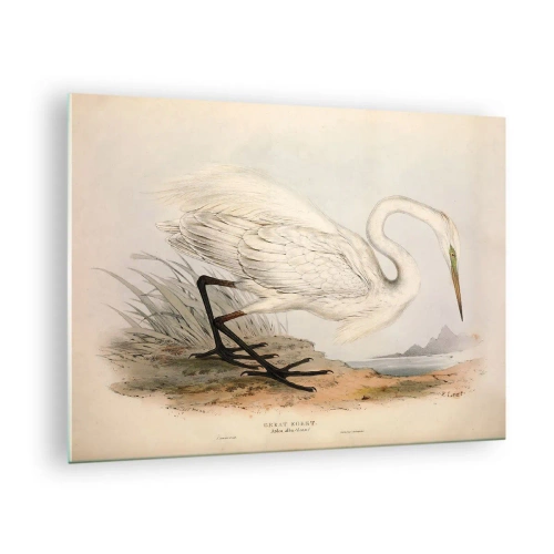 Glastavla - Bild på glas - Vintageillustration av en vit häger vid vattenbrynet - 70x50cm - En dam i vassen - Modern väggdekoration för vardagsrum och sovrum ARTTOR