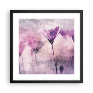 Affisch i svart ram - Blommornas sömn - 40x40 cm