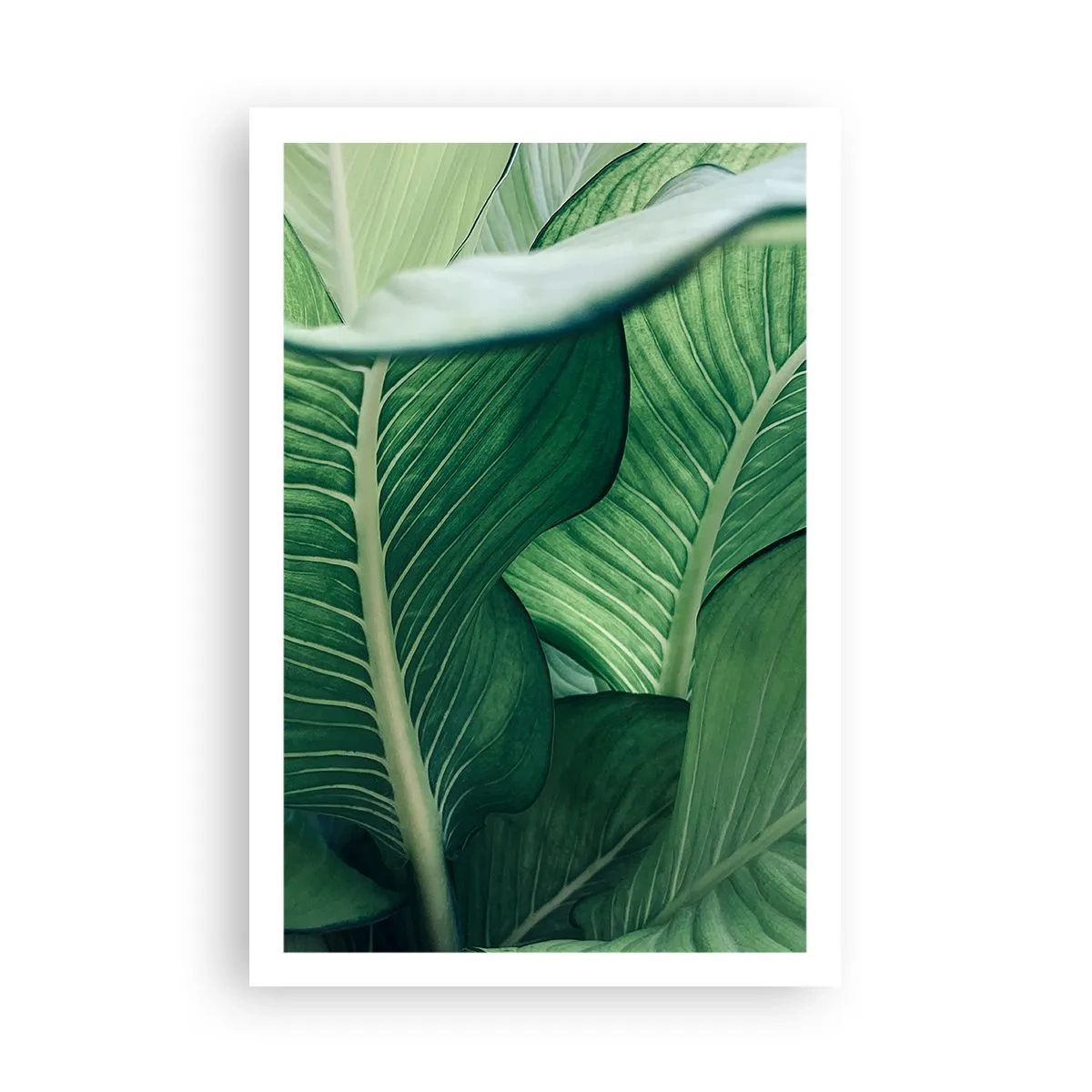Affisch - Livet intensivt grönt - 61x91 cm