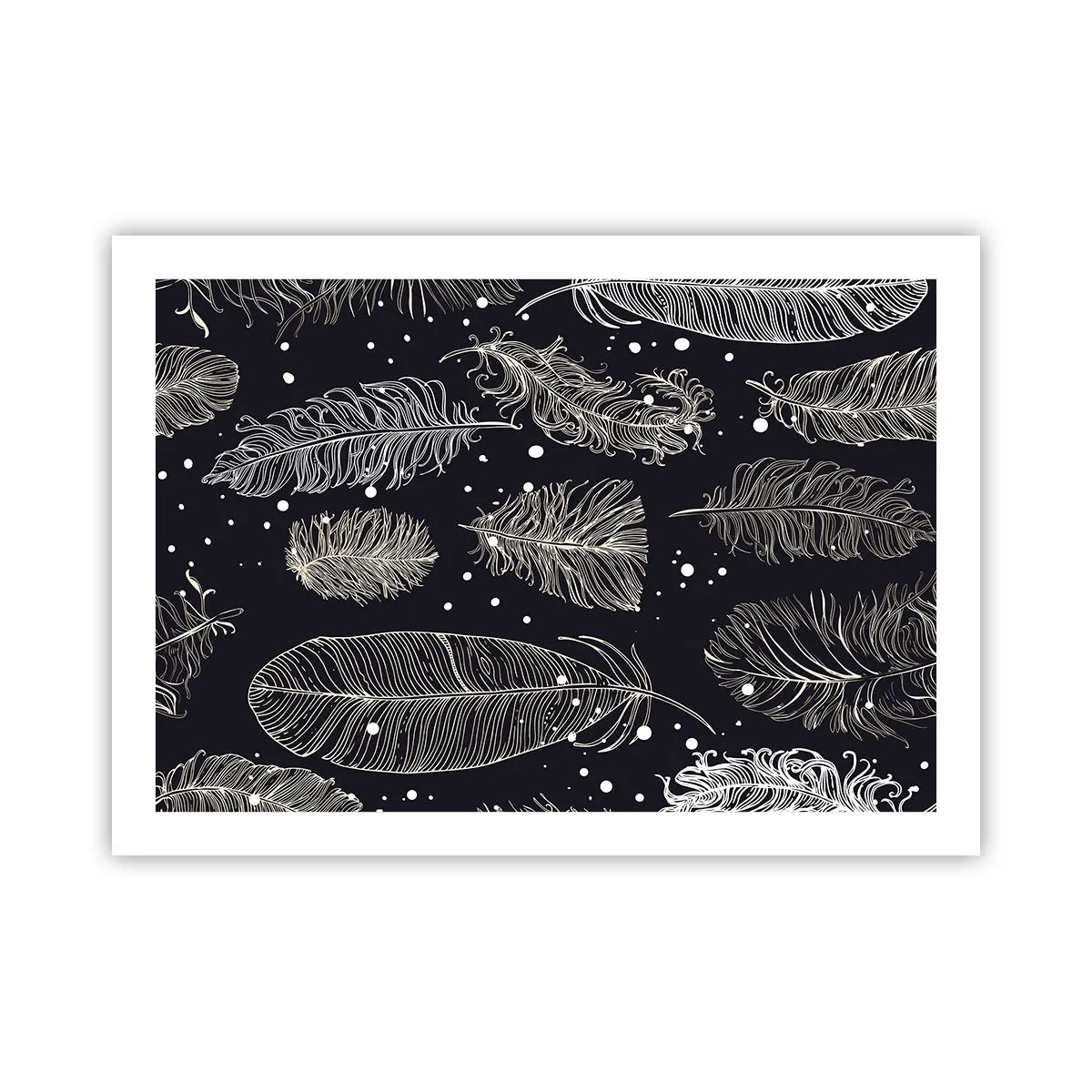 Affisch - Fjäderspets - 70x50 cm